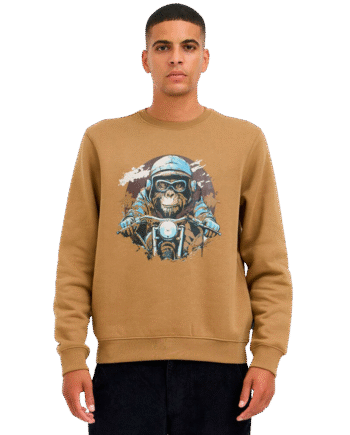Blend Herre Sweatshirt – Uundgåeligt Black Friday Tilbud!