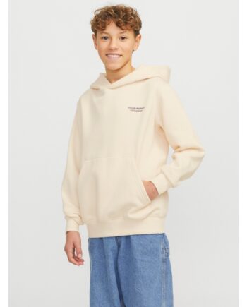 Jack & Jones Junior Hoodie Antik Hvid Til Drenge